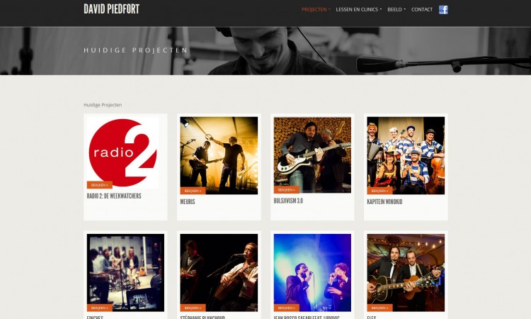 www.davidpiedfort.be