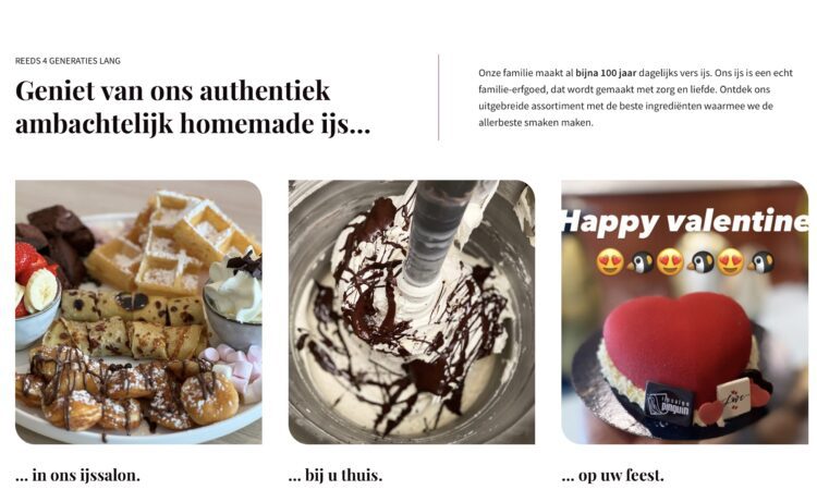 website preview ijssalon-pinguin