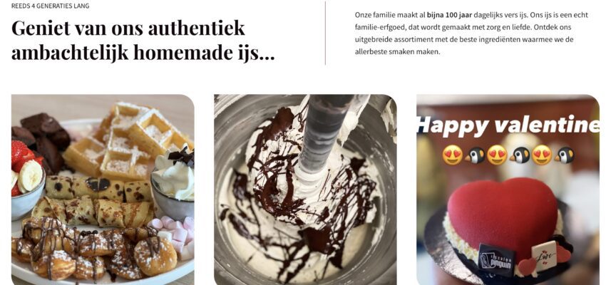 website preview ijssalon-pinguin